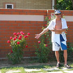 ���������, ������������, 54 ����