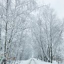 �� � ���� �� ������� ������ ��������