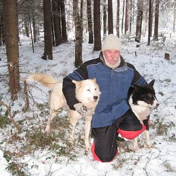 �������, �����-���������, 69 ���