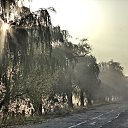 �������� ���� �� ������� ���� ����������
