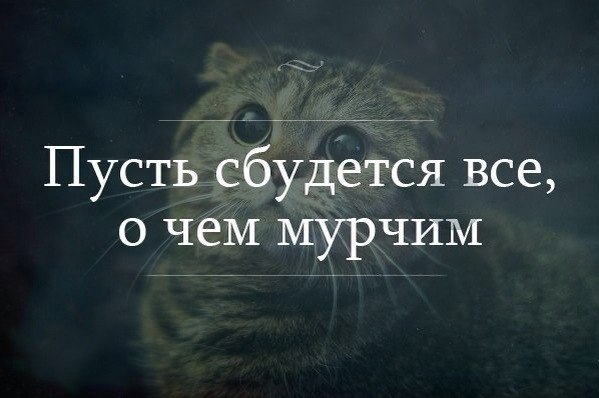   - 4  2014  01:47 - 2