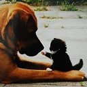  , , 71  -  9  2014    ,   !