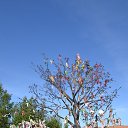 ���� ���������, �����-���������, 54 ���� - ��������� 15 ������� 2013 � ������ ���� ����������
