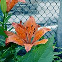 ���� �����, ��������������, 31 ��� - ��������� 10 ������� 2014 � ������ �� Nikon D5100�