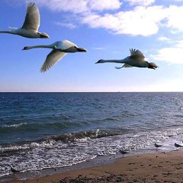 ���� �������, ����������� - ��������� 5 ����� 2014