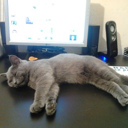 ���� �������, ������ - ��������� 29 �������� 2013