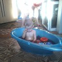 ���� ������, ������ - ��������� 2 ����� 2014 � ������ ������ ��������