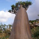 ���� Saeed, ������ - ��������� 31 ������ 2014 � ������ ���� ����������