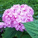 ���� ������� �., ����� - ��������� 6 ������� 2013 � ������ �������