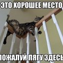 ���� � �, ����, 62 ���� - ��������� 21 ������� 2014 � ������ ������ ��������