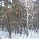  ,  -  5  2014    2014