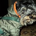 ��� �����. �� ������� ���� ����������