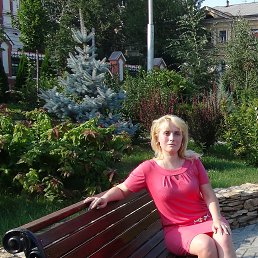 ���� �����, ������� - ��������� 28 ������� 2013