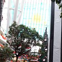 ���� �������, ����� - ��������� 12 ������ 2014 � ������ ���������� ���������