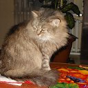 ���� ������� �., ����� - ��������� 14 ������� 2013 � ������ ���� ���� � ������ ��������