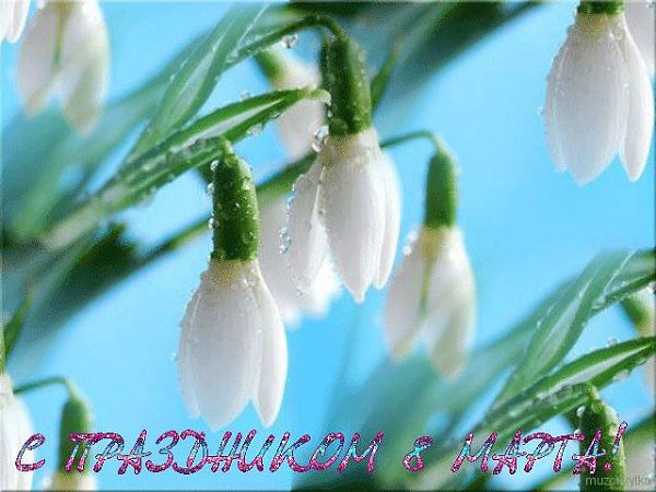 МИЛЫЕ НАШИ ДАМЫ!!! С ПРАЗДНИКОМ ВАС!!! Весна! Просыпаются первые мухи, Ручьи зажурчали в далеких ... - 6