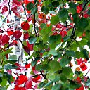 ���� �����, �����, 64 ���� - ��������� 30 ������ 2013 � ������ ��Ψ�