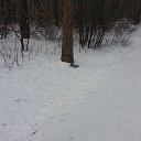  ,  -  26  2014     ,  