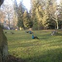 ����� ����� �� ������� �������