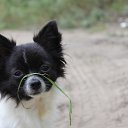 ���, ��� ������ �� ������� ���� ����������