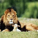 ���� �����, ������-��-���� - ��������� 5 ������� 2014 � ������ ���� ����������