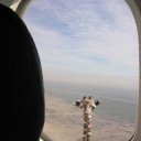 ���� ���������, ����-����������� - ��������� 4 ������ 2013