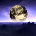 ���� ������, ����, 38 ��� - ��������� 29 ������� 2013 � ������ ���� ����������