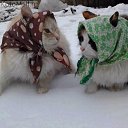  , , 71  -  4  2014     ...