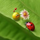 ���� ��������, ��������, 70 ��� - ��������� 9 ������ 2014 � ������ ���� ����������