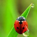 ���� ���������, ������-��-����, 45 ��� - ��������� 7 ����� 2014 � ������ ���� ����������