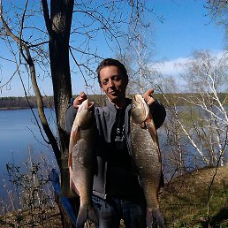 ���� ��������, ������� - ��������� 24 ������� 2013