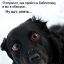 ���� �������� �, ���������, 44 ���� - ��������� 16 ������ 2014 � ������ ���� ����������