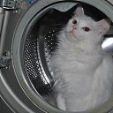 ���� �����, ������� - ��������� 27 �������� 2013 � ������ ���������