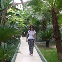 ������, �����, 2013 ���. �� ������� ���� ����������