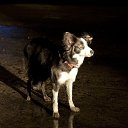 ���� Viktoriya, ���� - ��������� 2 ����� 2014 � ������ ������ ��������