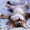 ���� ������, ���, 62 ���� - ��������� 4 ������� 2014 � ������ ������ ��������