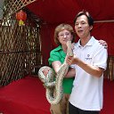 �������������� ����...))) ����� 2011 �.