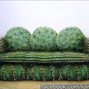 ���� �������, �������� - ��������� 25 �������� 2013 � ������ ���� ����������