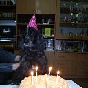 ��� 5 ���! �� ������� ���� ����������