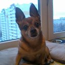 ���� ������, �����-���������, 44 ���� - ��������� 19 ������� 2013