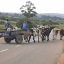 ���� ���������, ������, 57 ��� - ��������� 19 �������� 2013