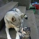  , , 71  -  12  2014     ...