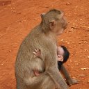 ���� ������, ������, 58 ��� - ��������� 26 ������� 2013 � ������ ���� ����������