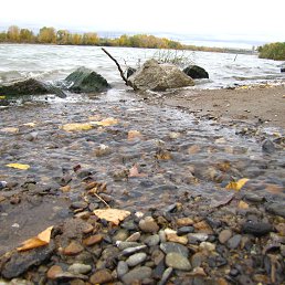 ���� ����, �������� - ��������� 22 ������� 2014