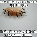 ���� Dodge Charger, ����, 41 ��� - ��������� 28 ������� 2014