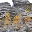 ���� Svann, ���������, 71 ��� - ��������� 6 ������� 2013 � ������ ������. ��. �������.�