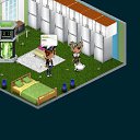  _--_,  -  21  2014   Tropikania