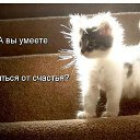 ���� ����, �������� - ��������� 4 ����� 2014