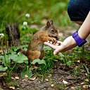 ���� ���, ������ - ��������� 8 ������ 2013 � ������ �������