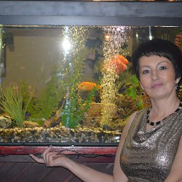 Galina, 
